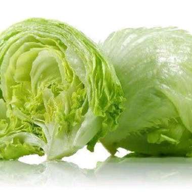 Lettuce Head Hidroponik - 1kg
