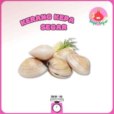 Sayur Segar - Kerang Kepa Segar/Kepa Clam 1kg