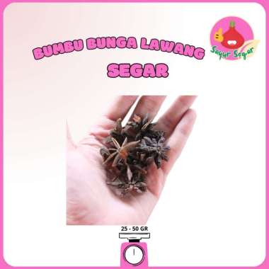 Sayur Segar - Bunga Lawang / Kembang Lawang 50gr
