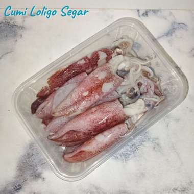 Cumi Loligo Basah Segar 1kg
