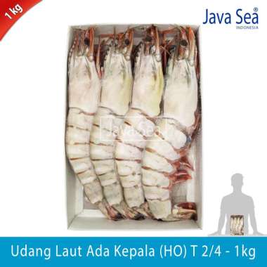 Udang Laut Tiger Utuh Ada Kepala HO T SP 2/4 pack 1kg Sea Praise