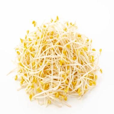 HarvestMoon Tauge Panjang / Tauge Bangkok @500gr