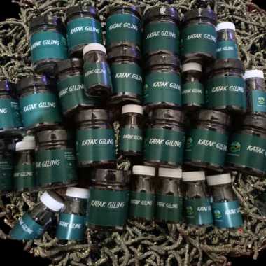 Pelet Katak Giling by RKFISH Aquatic Murni Katak Kodok Sawah Pakan Auranti Botol Kecil