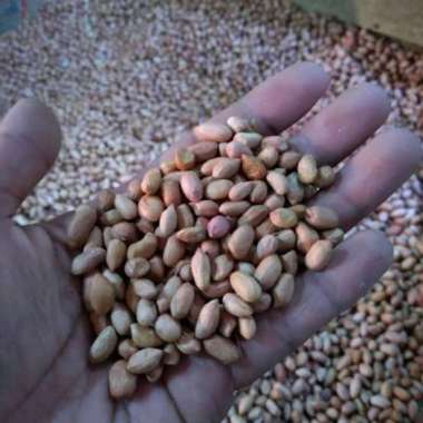 kacang tanah mentah 1 kg