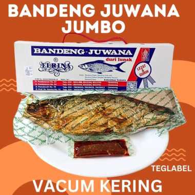 Bandeng Juwana Jumbo Bandeng Erlina Ukuran Jumbo Bandeng Presto Duri Lunak
