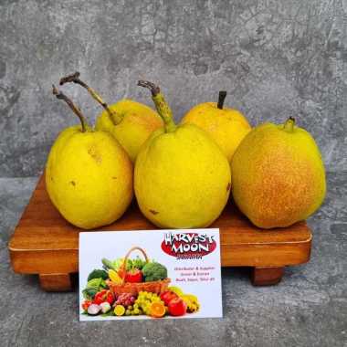 HarvestMoon Buah Pear Xiang Lie per Dus