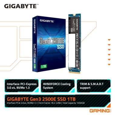 Gigabyte Gen3 2500E SSD 1TB - NVMe