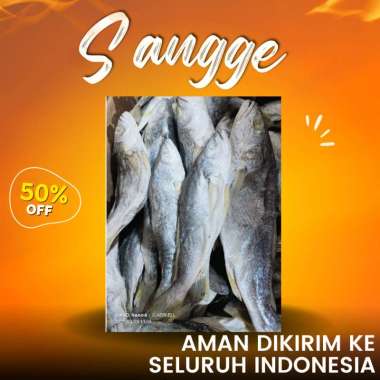 Ikan Asin Sangge Medan 500gram