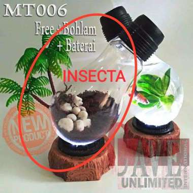 MT006 TERRARIUM ENCLOSURE MINI KANDANG TARANTULA KALJENGKING INSECTA AQUARIUM IKAN HIAS NEON AKUARIU