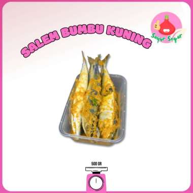 Sayur Segar - Ikan Kembung Salem Bumbu Kuning Box 500 gr/Mackerel Seasoned