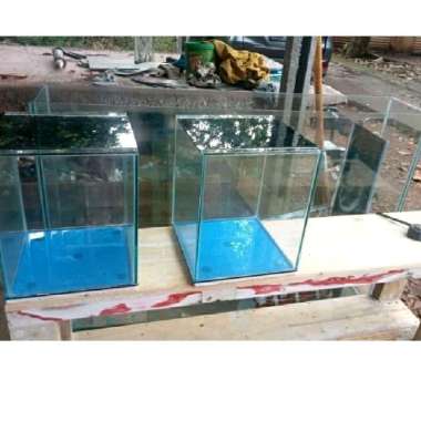 Aquarium Channa 25X25X30 Aquarium Kaca Akuarium