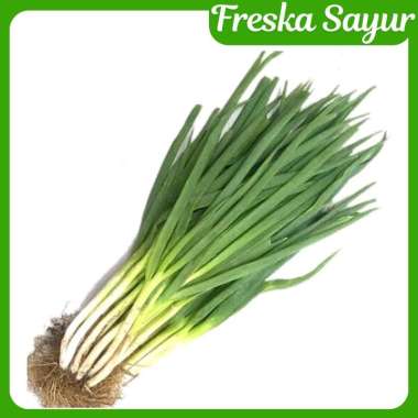 Daun Bawang/Daun Prei 1 ikat