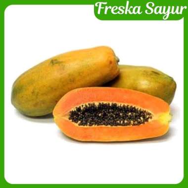 Buah Pepaya California / Pepaya Kalifornia [SUPER]
