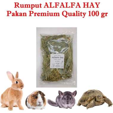 Rumput TIMOTHY, ALFALFA, OATEN, OAT & BARLEY HAY, DACTYLON HAY Premium Quality 100 gr Makanan Kelinc