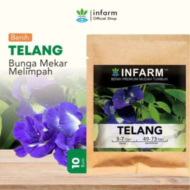 Benih Bibit Biji Bunga Telang Infarm Benih Telang Ungu Bibit Bunga Telang
