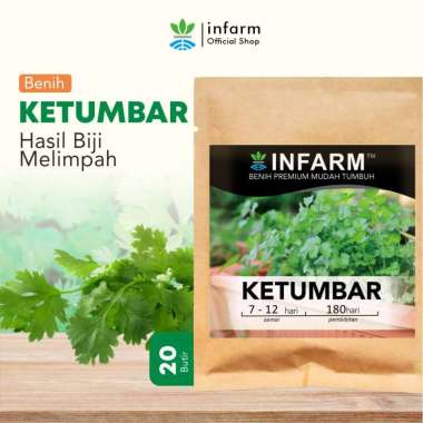 Benih Bibit Biji Daun Ketumbar Infarm Benih Sayur Ketumbar Surabaya