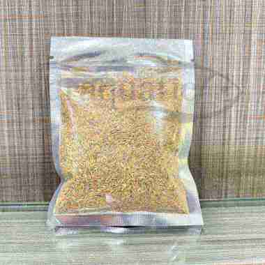 BENIH BIBIT TANAMAN HAIRGRASS 10GR