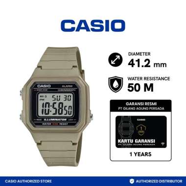 Jam Tangan Pria CASIO W-217H-5AVDF