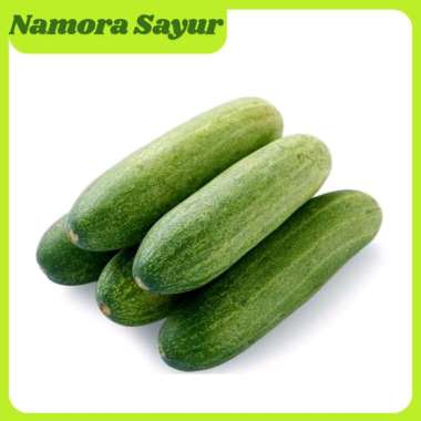 Mentimun/ Timun / Mentimun Acar 1 Pack