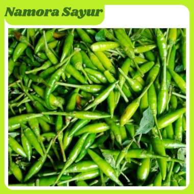 Cabe Rawit Hijau / Cabai Rawit IJo 1 kg