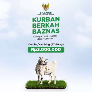BAZNAS - Kurban Domba / Kambing