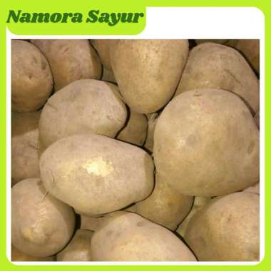 Kentang Dieng 1 kg