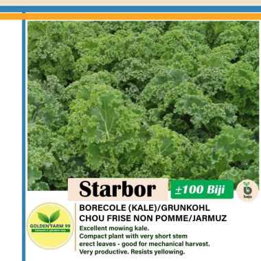 Benih Kale Starbor Bejo seed