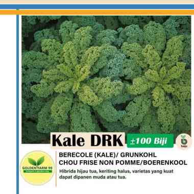 Benih Kale Drk Bejo seed