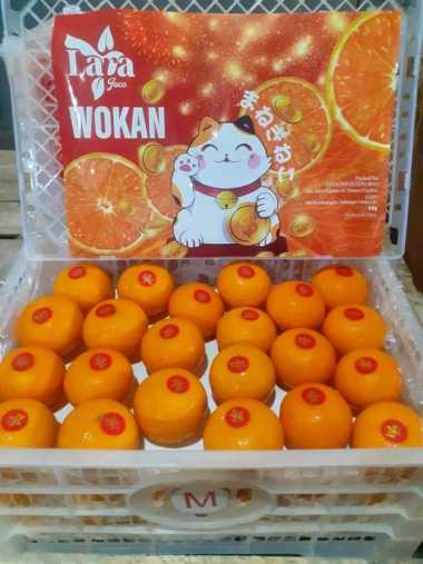 Jeruk Wokam Wogan Manis Impor Wokam 1Kg