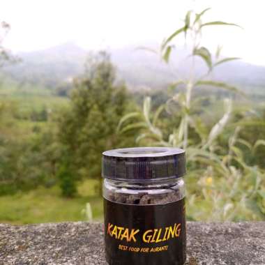 Pelet Katak Giling JuraganFish Aquatic Katak Kodok Murni Katak Sawah Pakan Auranti Botol Kecil