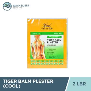 Tiger Balm Plaster [Cool]
