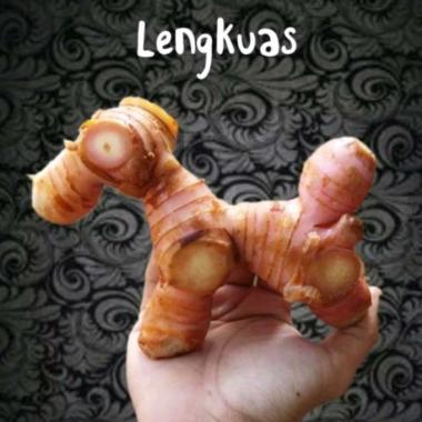 Lengkuas Segar/Lengkoas/Laos 1 kg