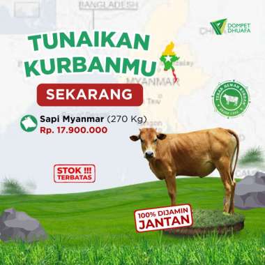 Dompet Dhuafa - Kurban Sapi Myanmar