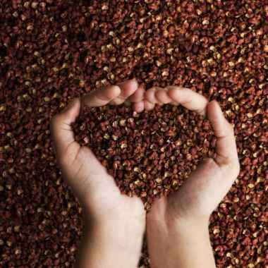 Biji Mala / Red Szechuan Pepper 1 Kg