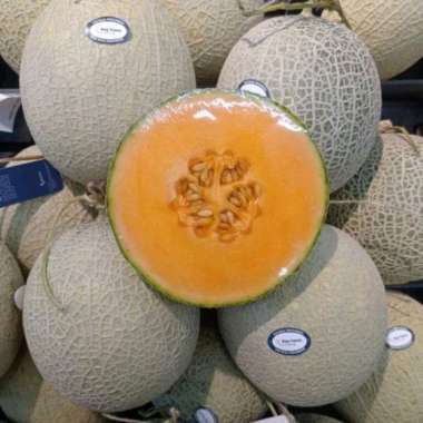 100 Benih Bibit Biji Melon ORANGE CROWN MUSK Japan, Premium import Hibrida Seeds, Super Manis