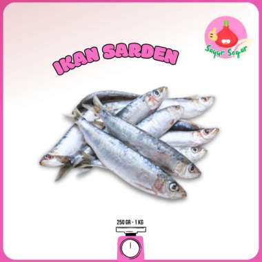 Sayur Segar - Ikan Dencis Sarden Segar / Sardine 1 kg
