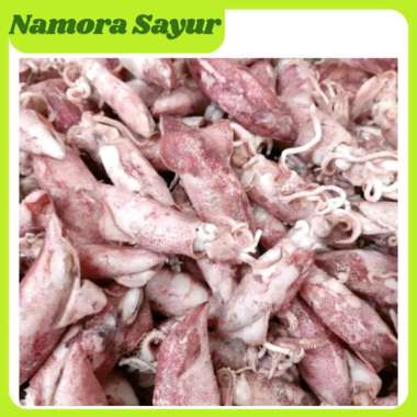 Ikan Asin Cumi | Cumi Asin [Ukuran Gede + Sedang] 1 kg
