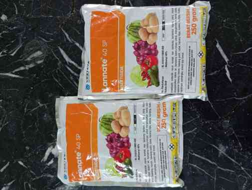 INSEKTISIDA LANNATE 40SP 250GR
