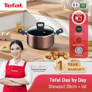 Tefal Stewpot 24 cm - Panci Mie Stainless Steel Full Saucepan Series Delight