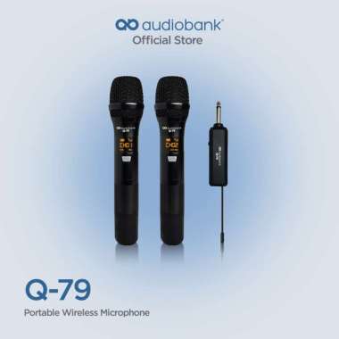 Audiobank Microphone Wireless with Echo & Rechargeable Q79