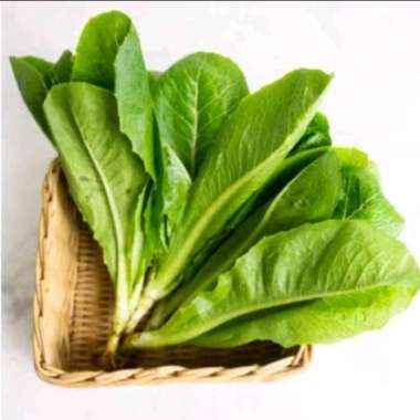 Selada Romaine Organik 250gr