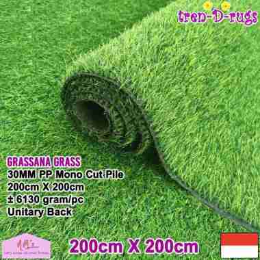 Tren-D-rugs Karpet kotak persegi rumput sintetis grass alas 200 cm x 200 cm dekorasi taman halaman r