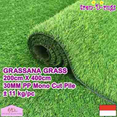 Tren-D-rugs Karpet rumput sintetis artificial grass alas 200 cm x 400 cm dekorasi taman halaman ruma