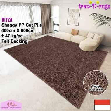 Tren-D-rugs Karpet shaggy jumbo polos aesthetic modern permadani 400 cm x 600 cm alas ruang tamu kam