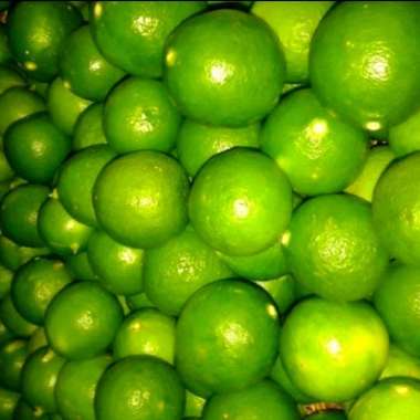 Jeruk Nipis JERUK NIPIS 1kg,500gr,250gr. 1kg