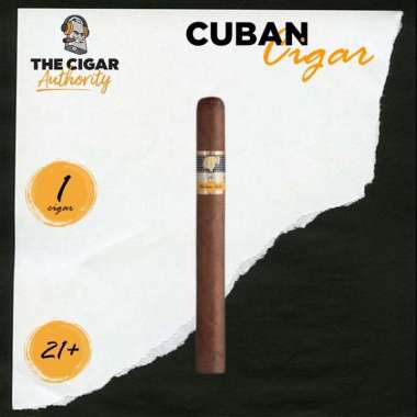 Cohiba Siglo VI Tubos Cuba Cigar Cerutu 1 Single Tube