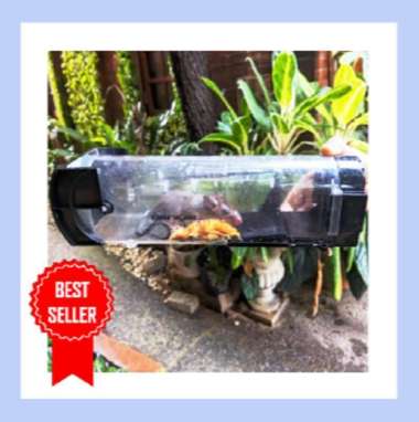 Perangkap Tikus Jebakan Tikus Pengusir Tikus Jebakan Untuk Tikus Jepretan Tikus Pembasmi Tikus Racun