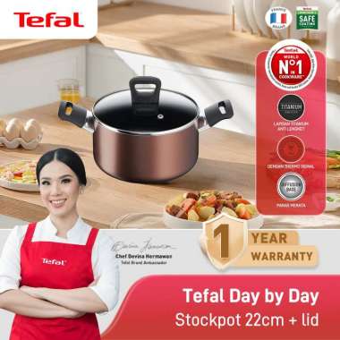 Tefal Day by Day Stockpot 22cm+ lid - Panci Wajan Penggorengan Coklat