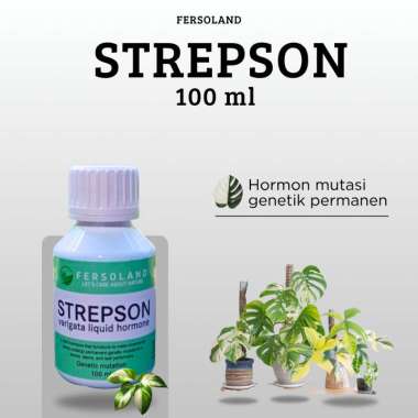 Strepson 100 ml | varigata tanaman hias | hidroponik | monstera varigata | peace lily | kaktus sensi
