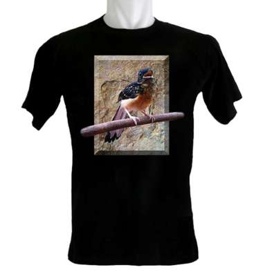 Kaoskaoscorp Baju Kaos Distro Burung Murai Batu Trotol L